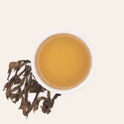 1995GreenPu-erh1.webp